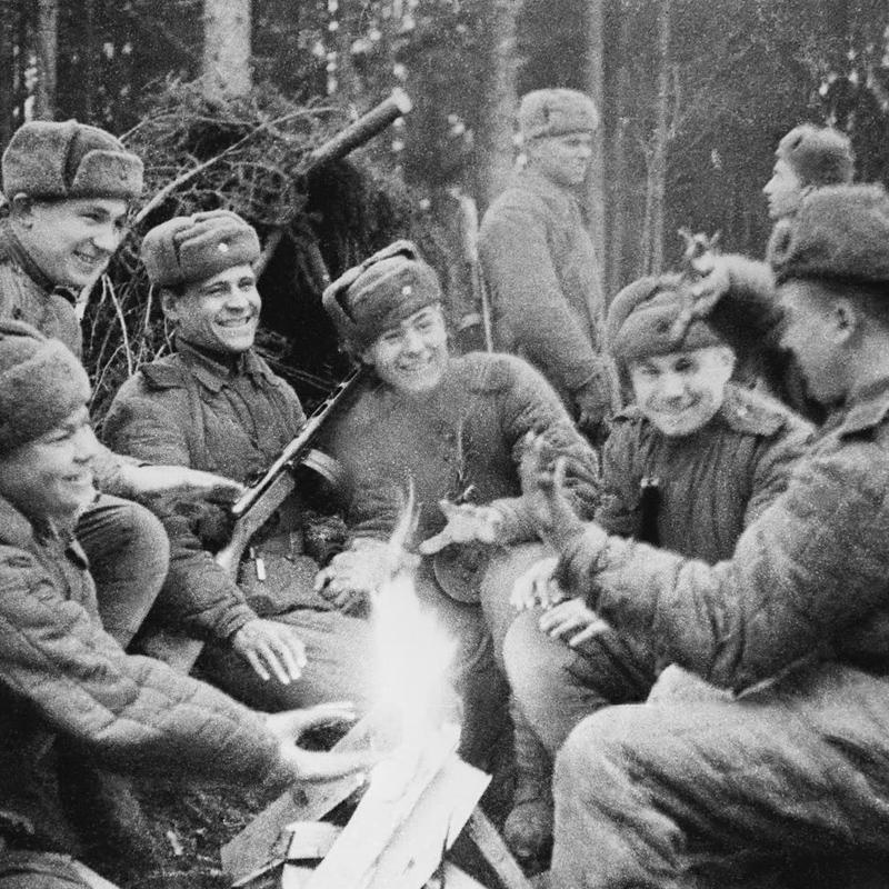 Лес прифронтовой картинка