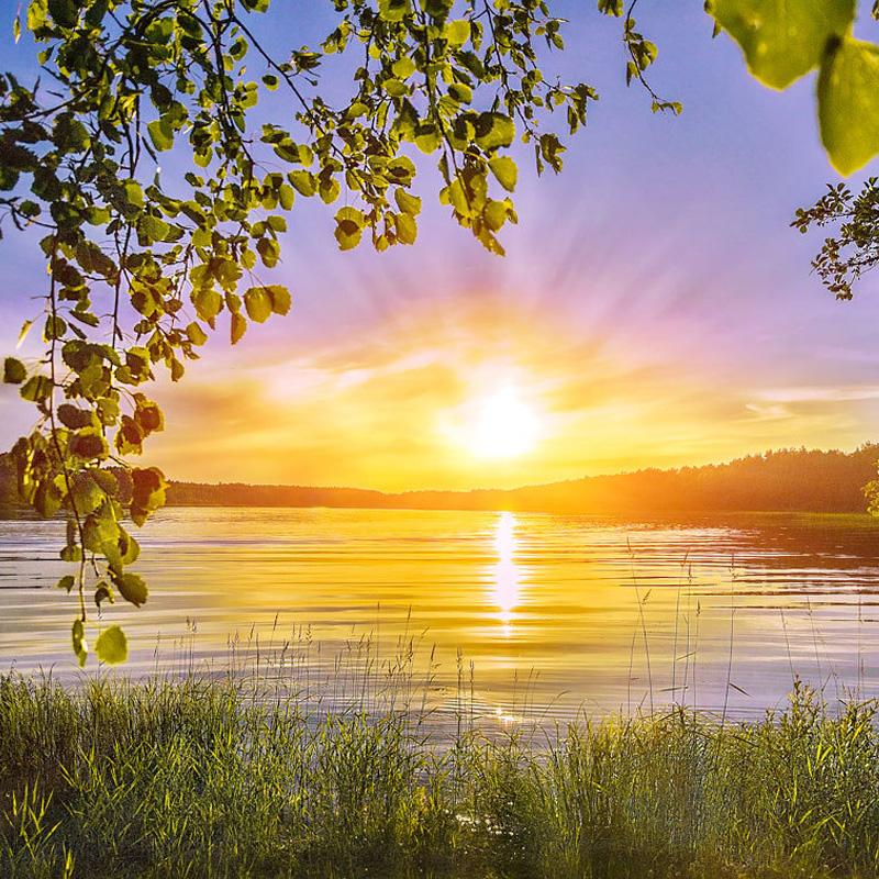 Благословленный солнцем. Доброе утро природа. Красивые поздравления с добрым утром природа. Хорошие пожелания с добрым утром с природой. Лето солнце природа.